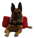 Patriotic Tri Pack Dog Vest