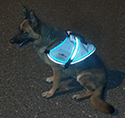 Light Up Service Dog Vest