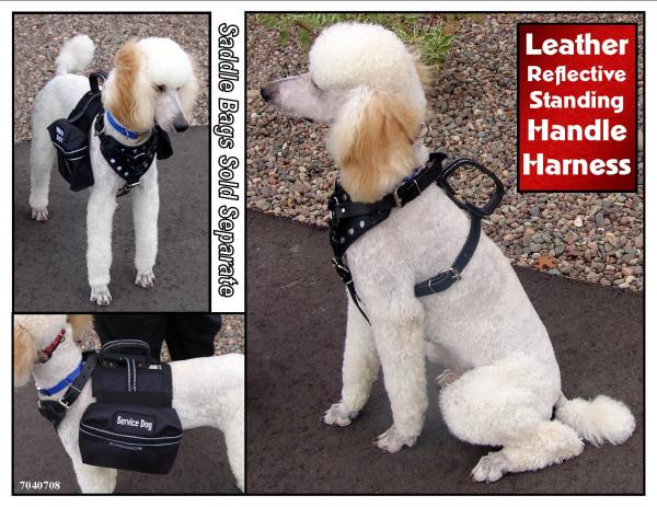 Reflective Leather Dog Harness