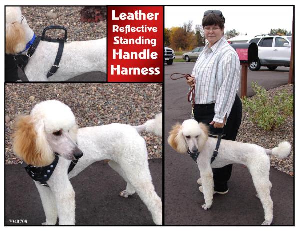 Reflective Leather Dog Harness