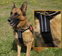 Chest to Girth Support Strap for Dog Vests & Harnesses