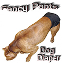 Fancy Pants Set of 3